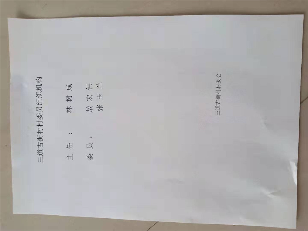 三道古街村委员组织机构.jpg