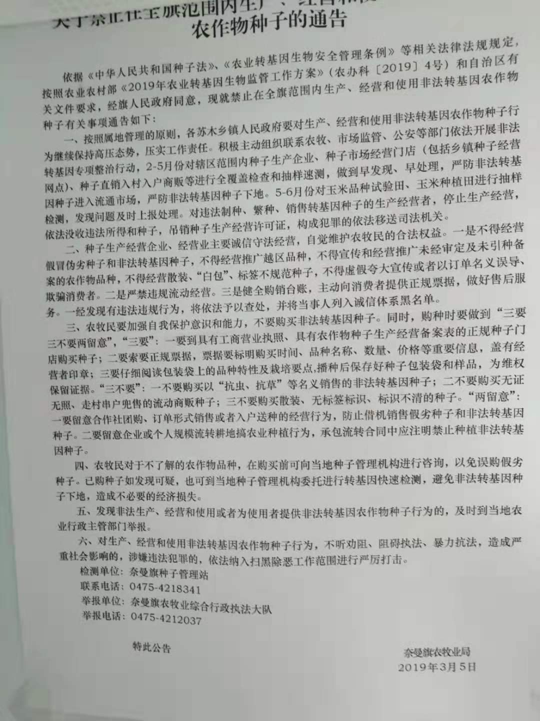 转基因.jpg