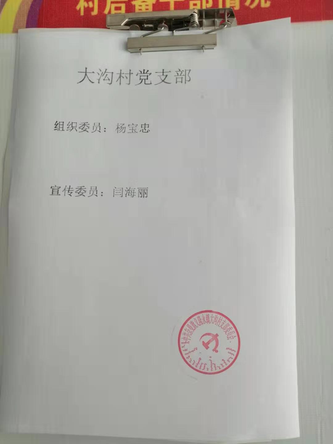 大沟村党支部.jpg