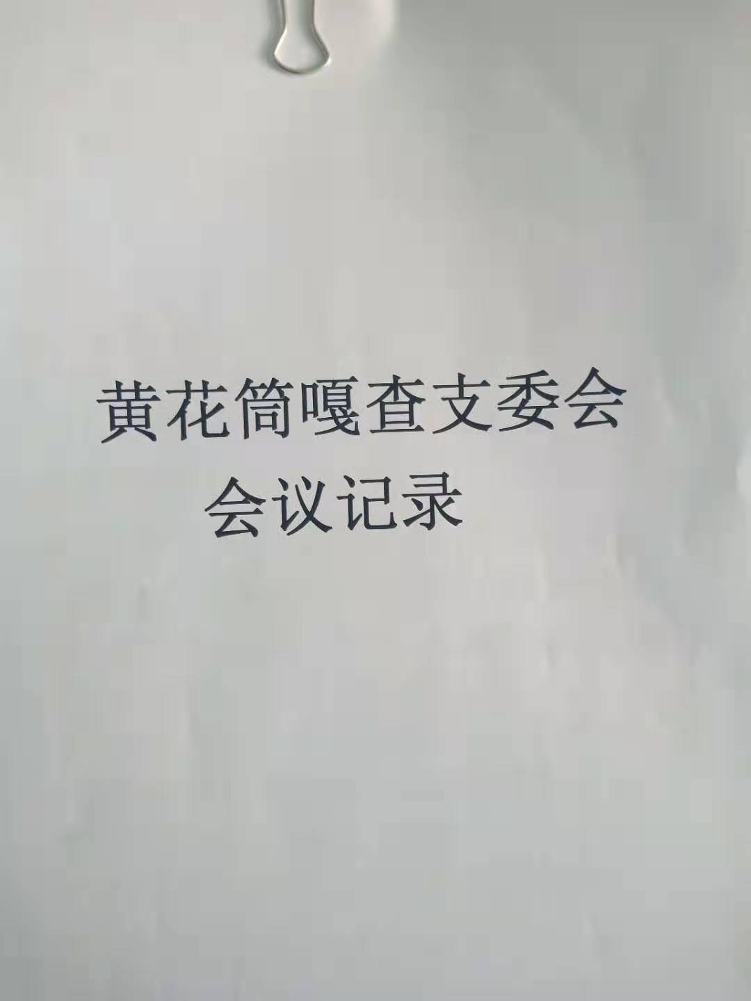 支委会会议记录.jpg