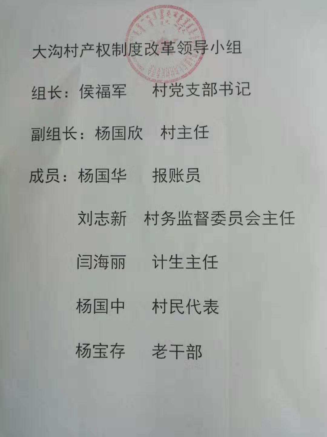 大沟村经济产权改革制度小组.jpg