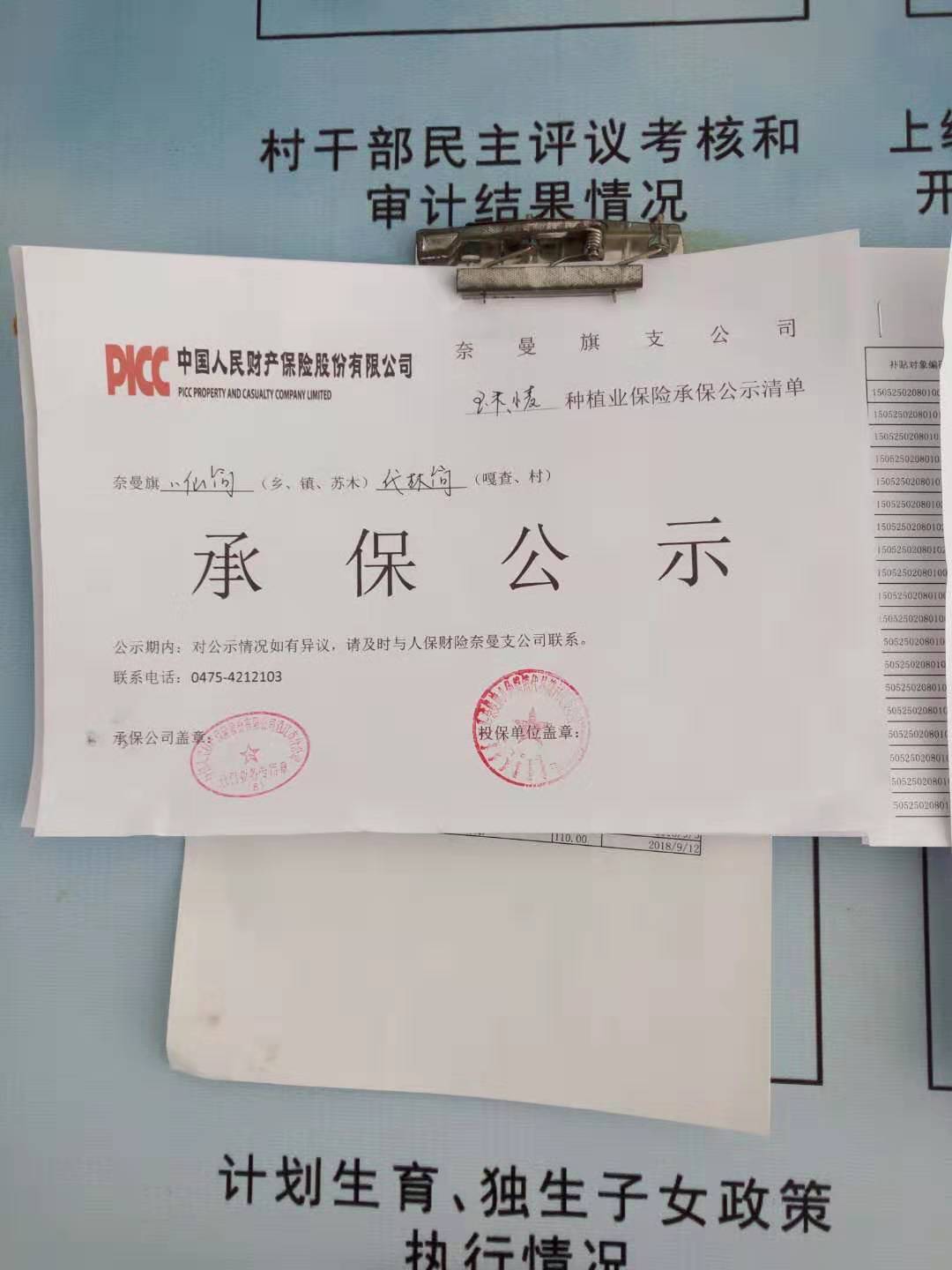农业保险汇总表.jpg