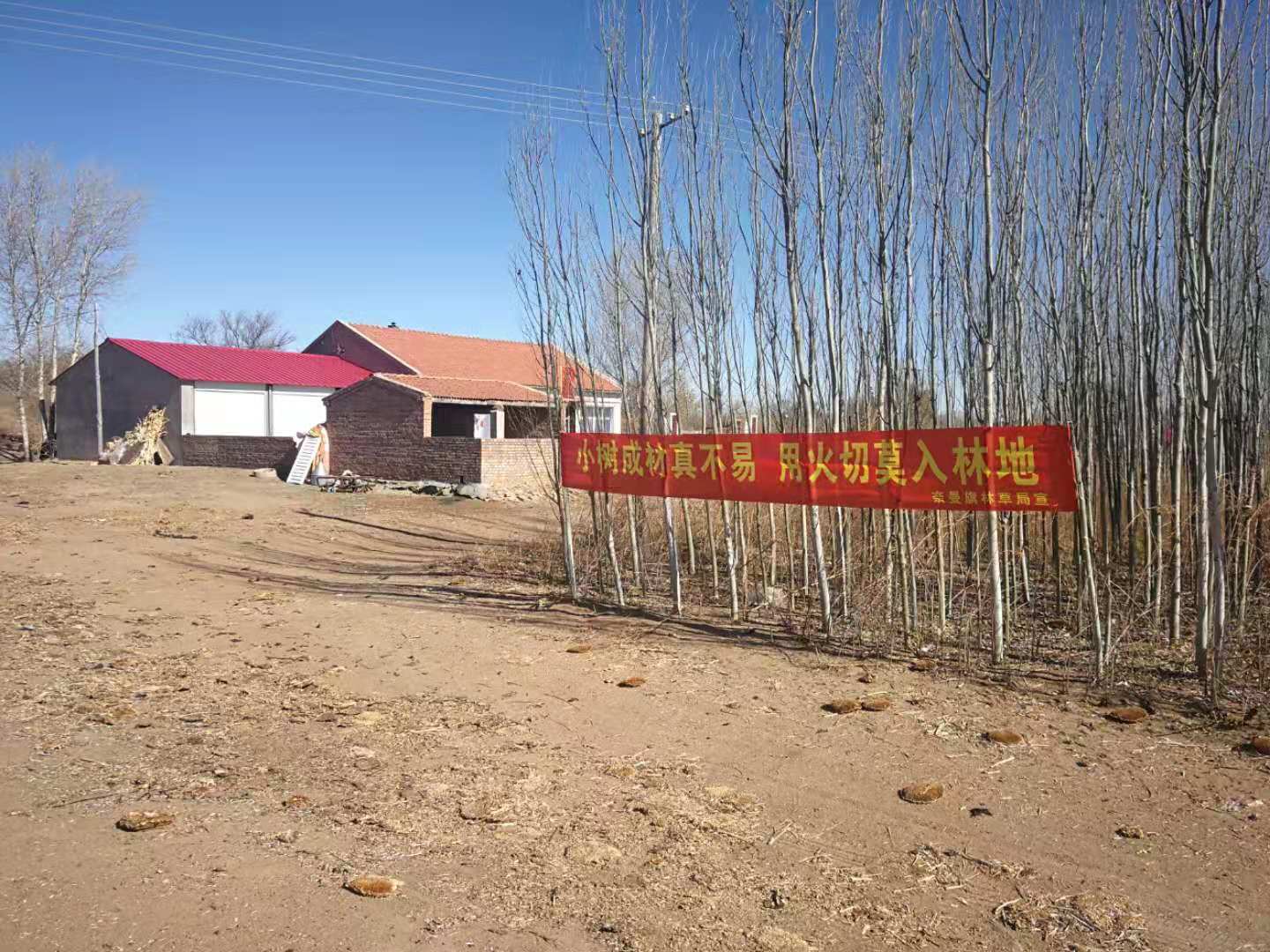2.jpg