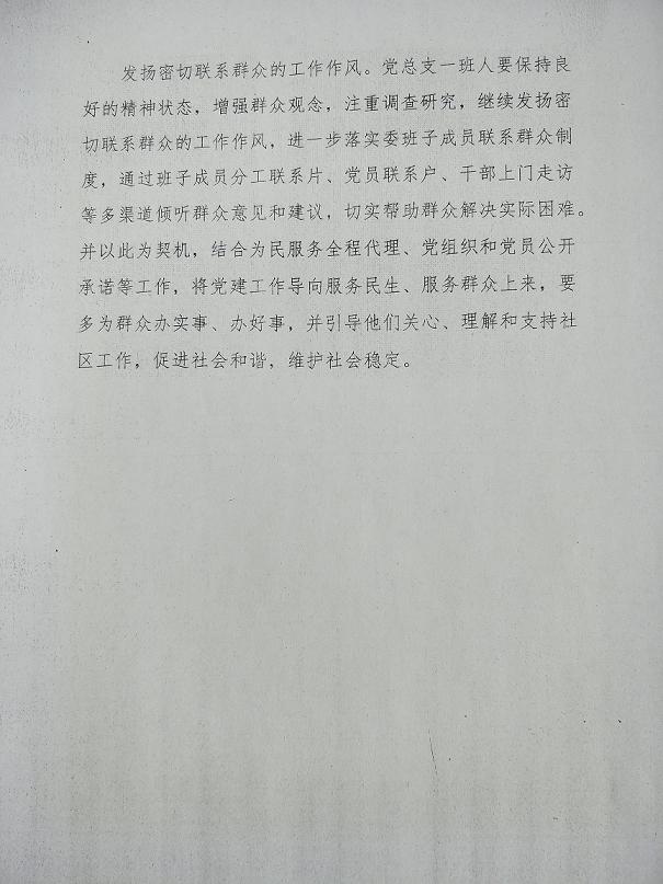 2017党建工作计划4.jpg