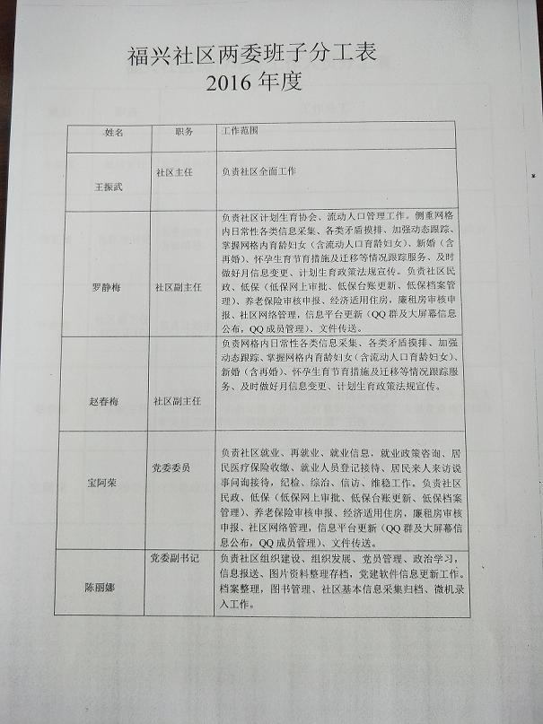 2016两委班子分工.jpg