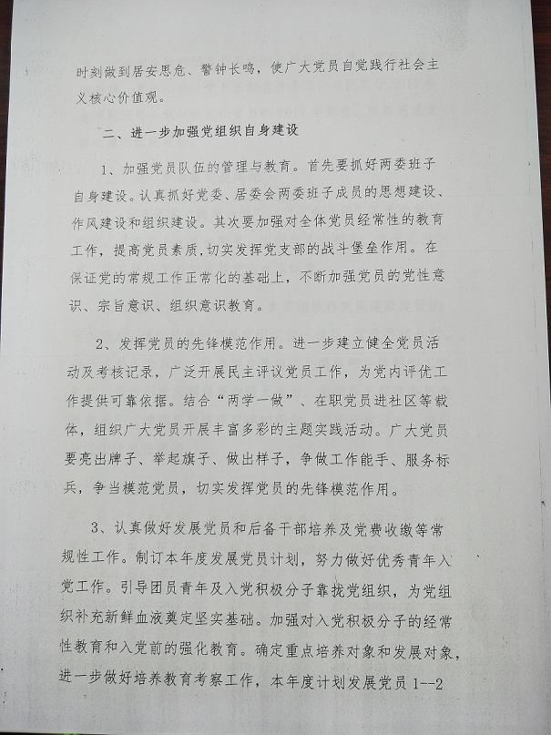 2017党建工作计划2.jpg