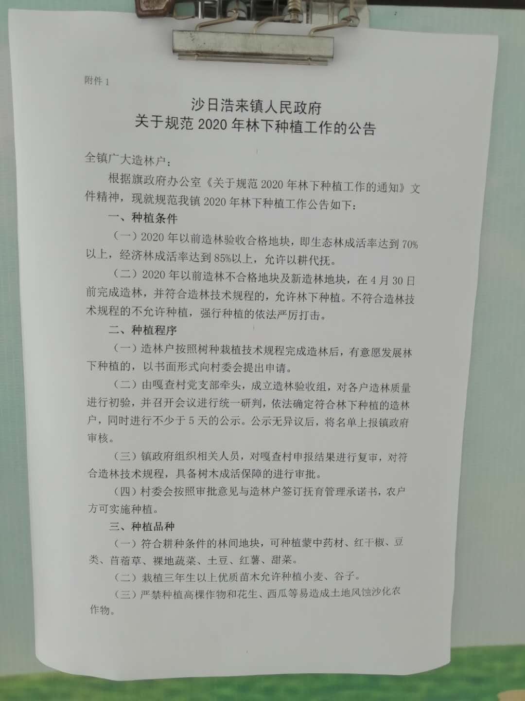 49aae048c1211a769a018290ca4db2d.jpg