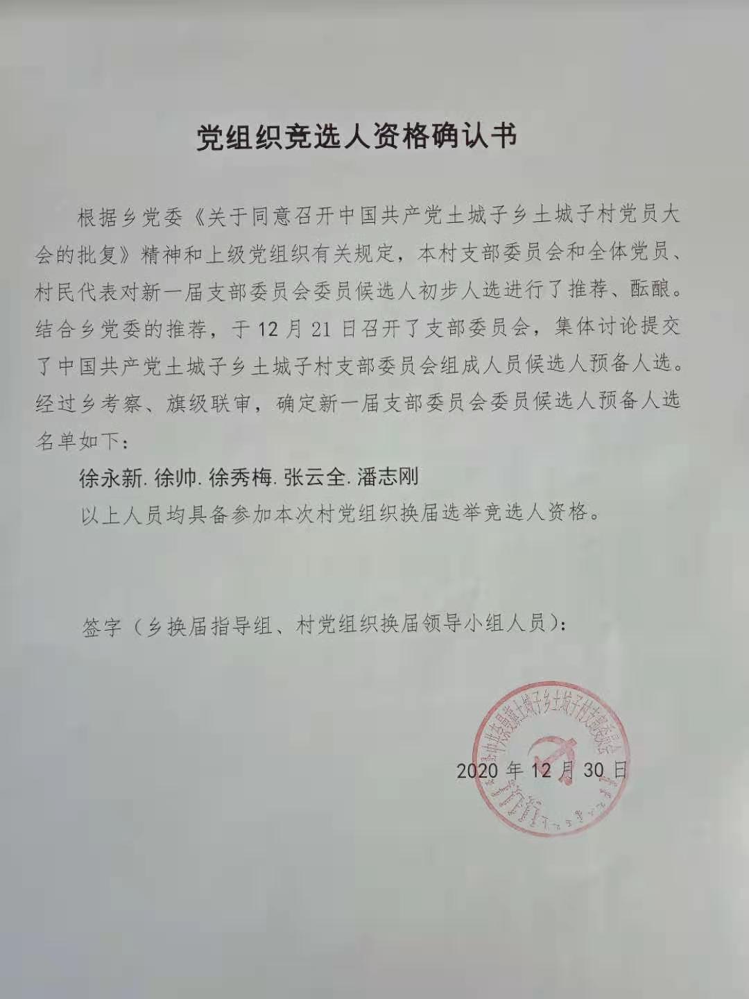 党组织竞选人资格确认书.jpg