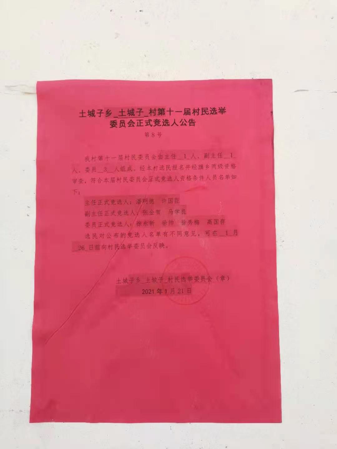 土城子乡土城子村第十一届村民选举委员会正是竞选人公告第8号.jpg