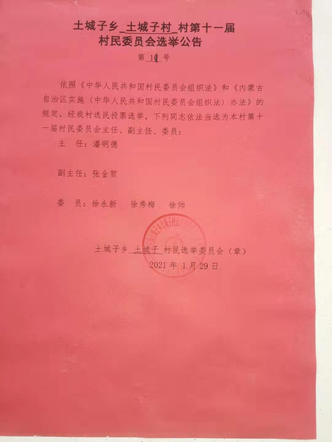 土城子乡土城子村第十一届村民委员会选举公告第11号.jpg