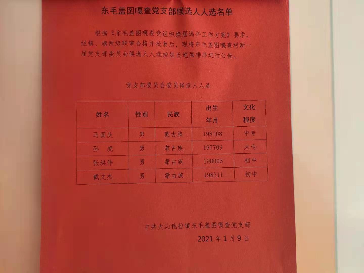 党支部候选人名单.jpg