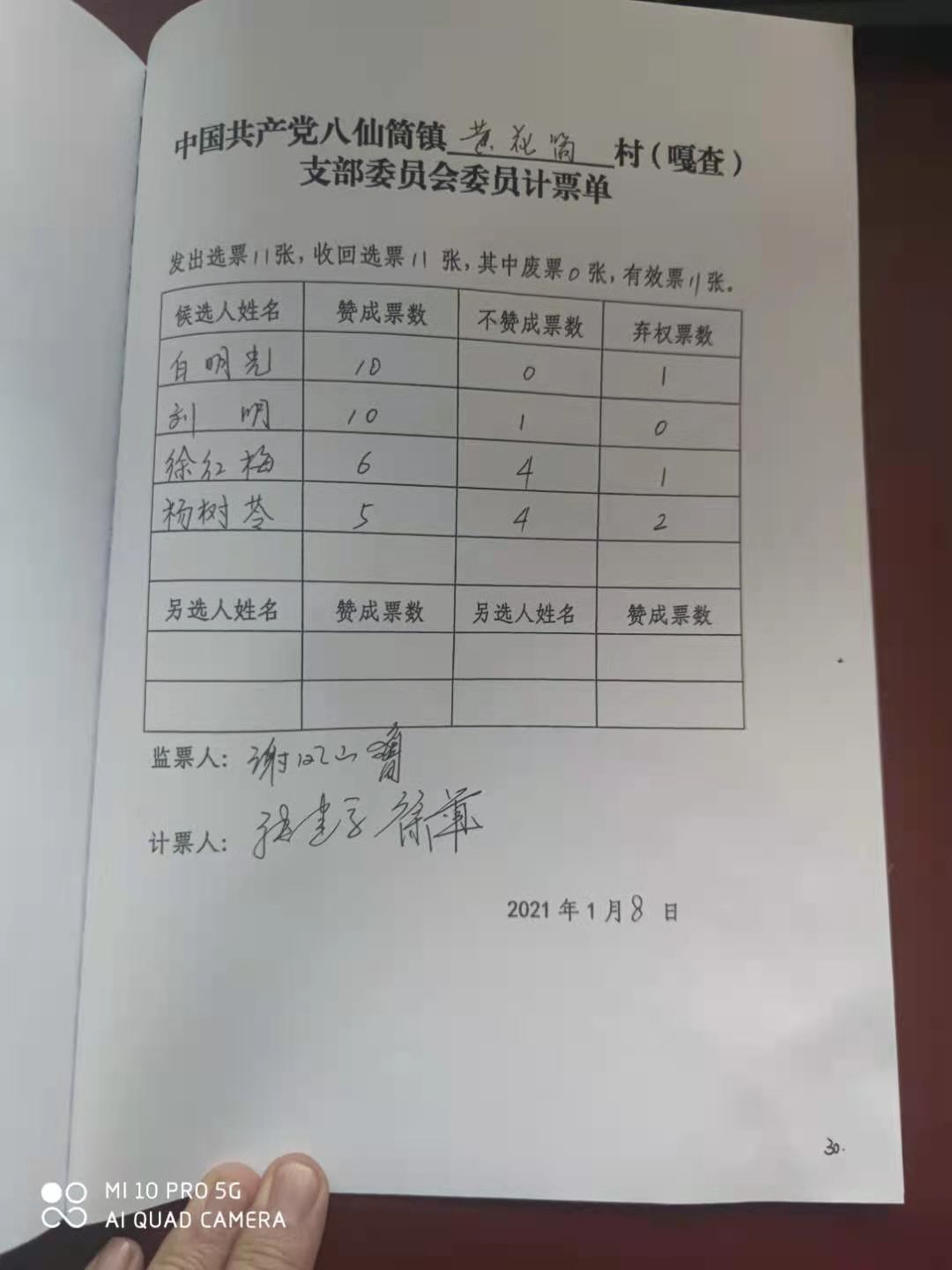 支部委员会计票报告单.jpg