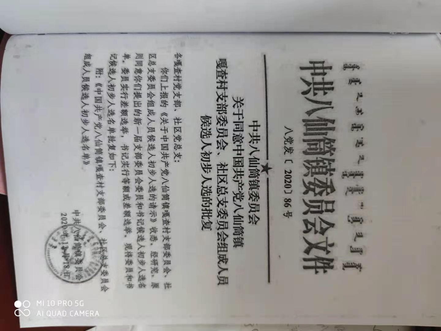 嘎查村支部委员会组成人员候选人初步人选的批复.jpg