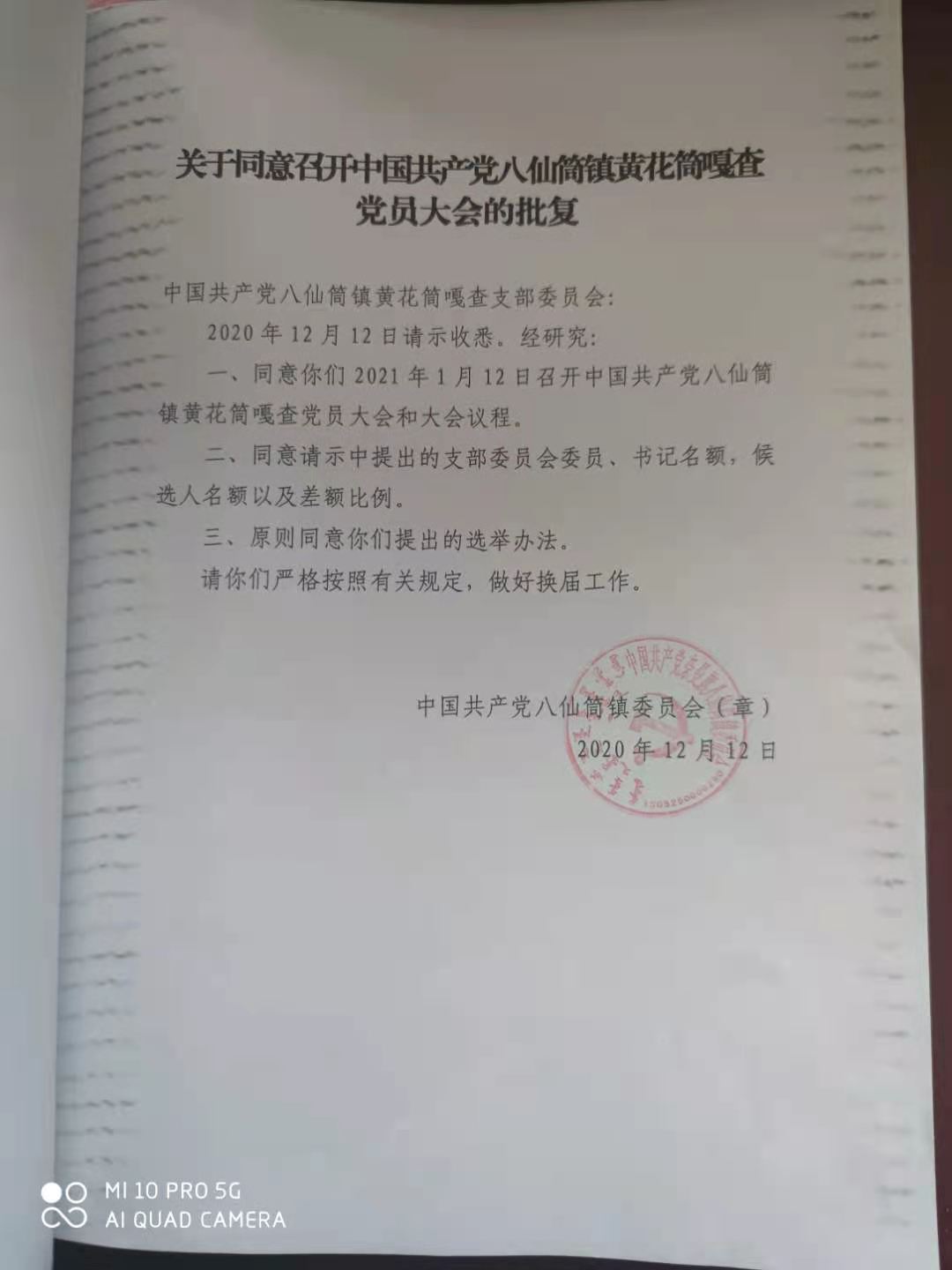同意提前召开党员大会的批复.jpg