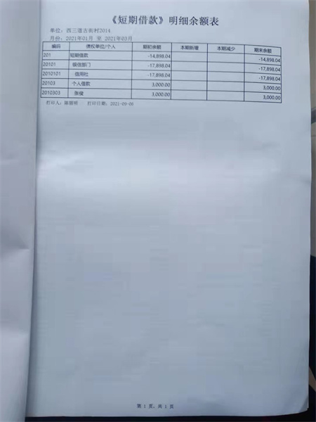 《短款借款》明细余额表.jpg