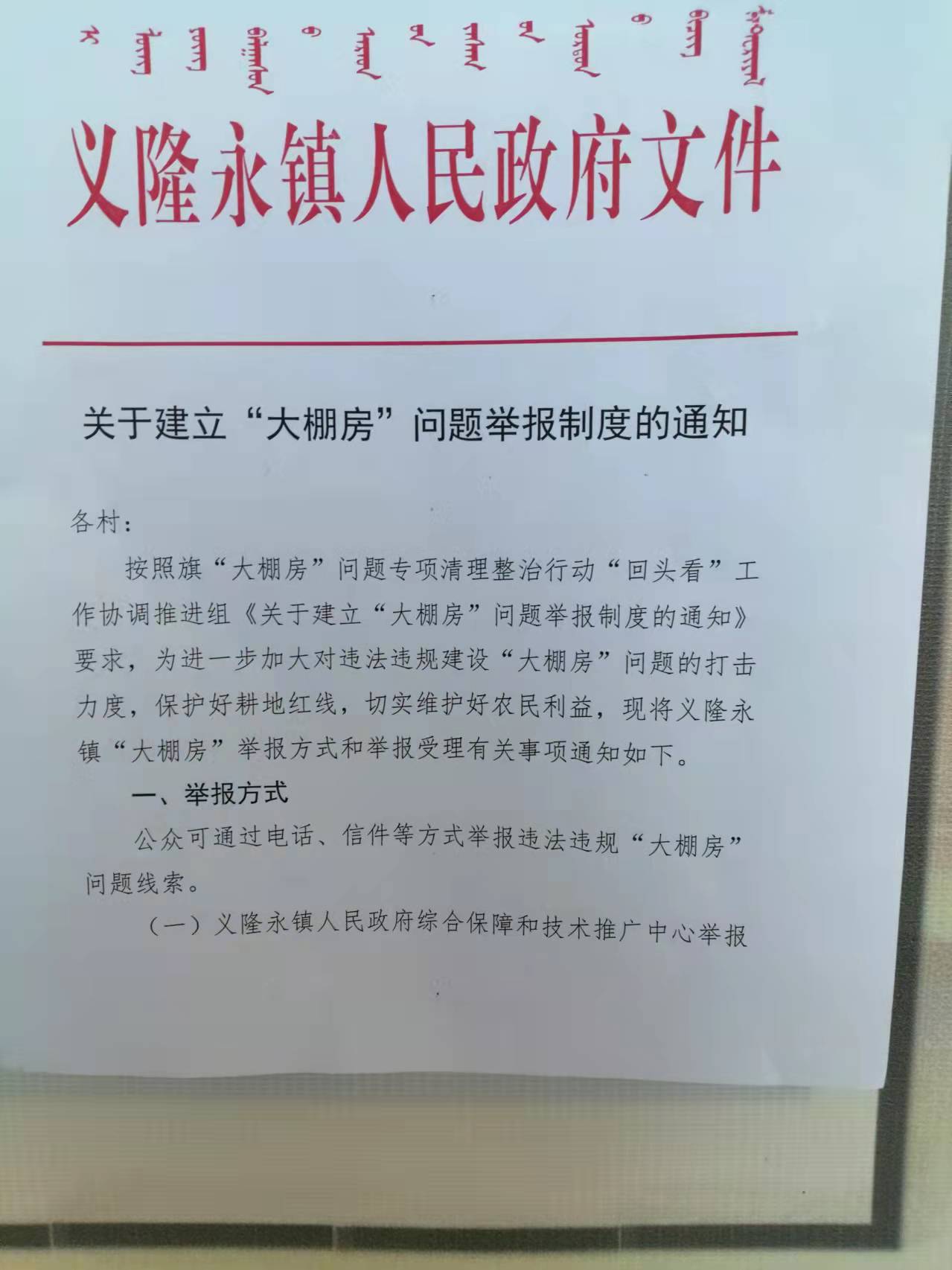 大.jpg