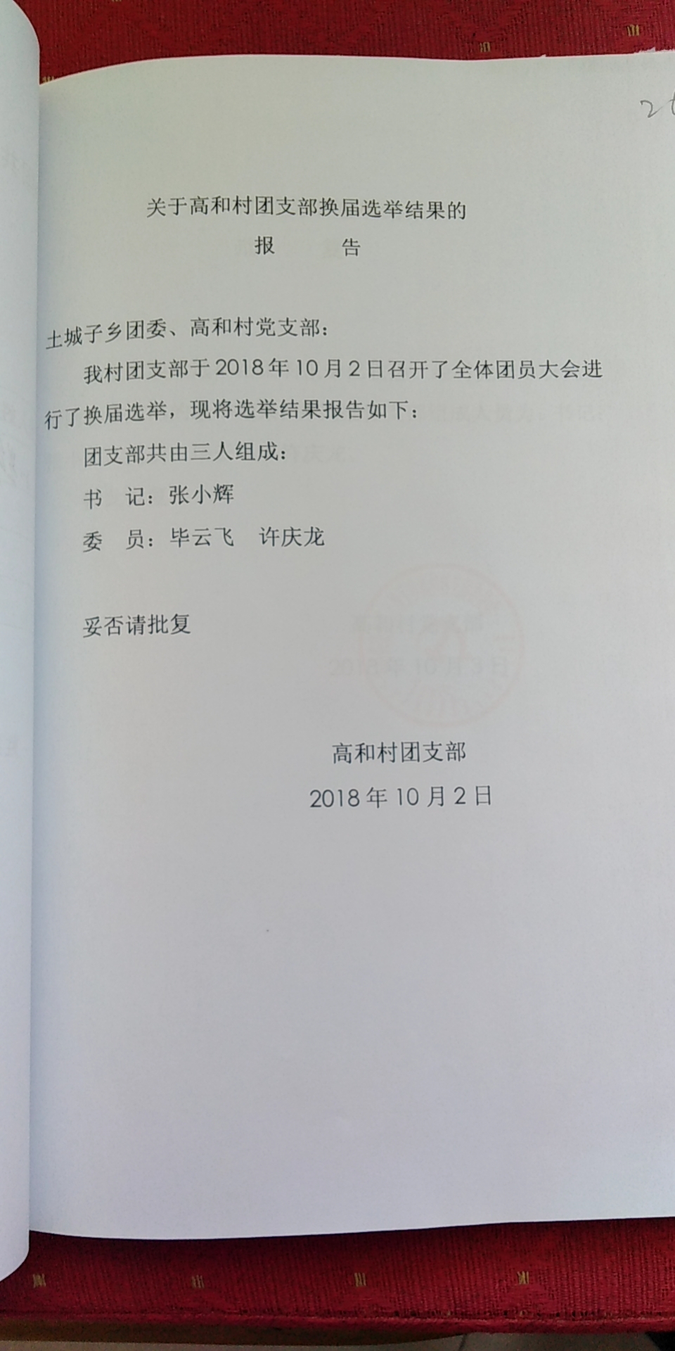 2018.10.2团支部换届选举结果的报告.jpg